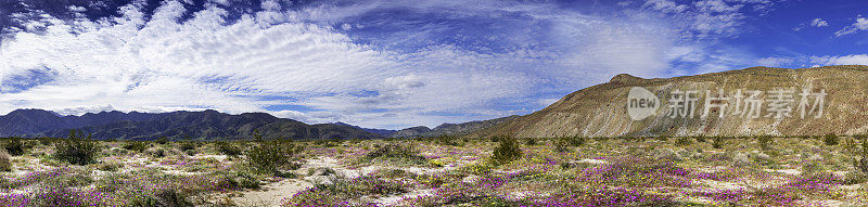 Anza Borrego沙漠国家公园-全景与戏剧性的天空